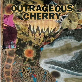 Universal Malcontents by Outrageous Cherry