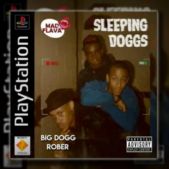 Sleeping DogZzz by Big Doggy