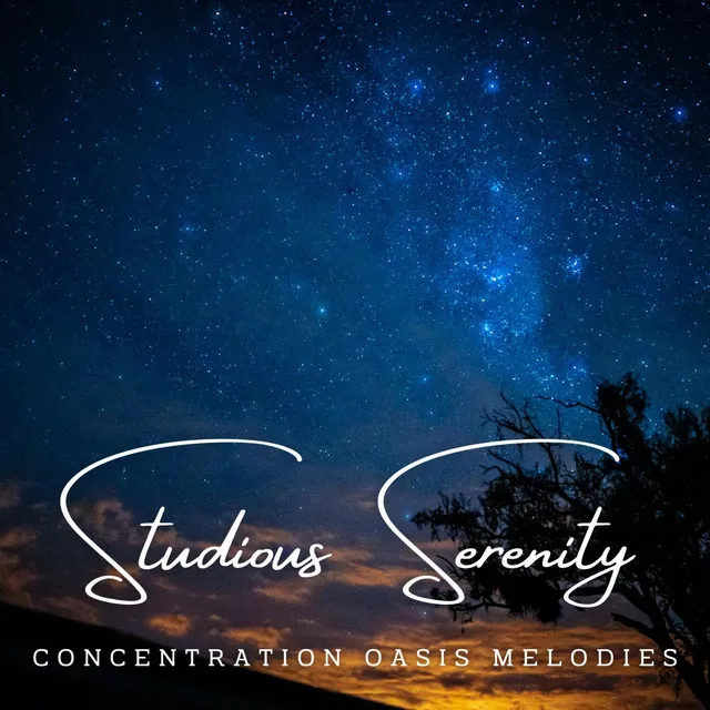 Studious Serenity: Meditative Melodies for Deep Learning