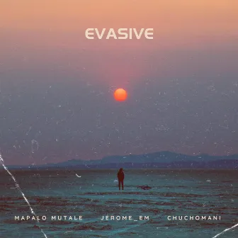 Evasive by Mapalo Mutale