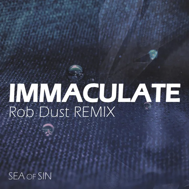 Immaculate - Rob Dust Remix