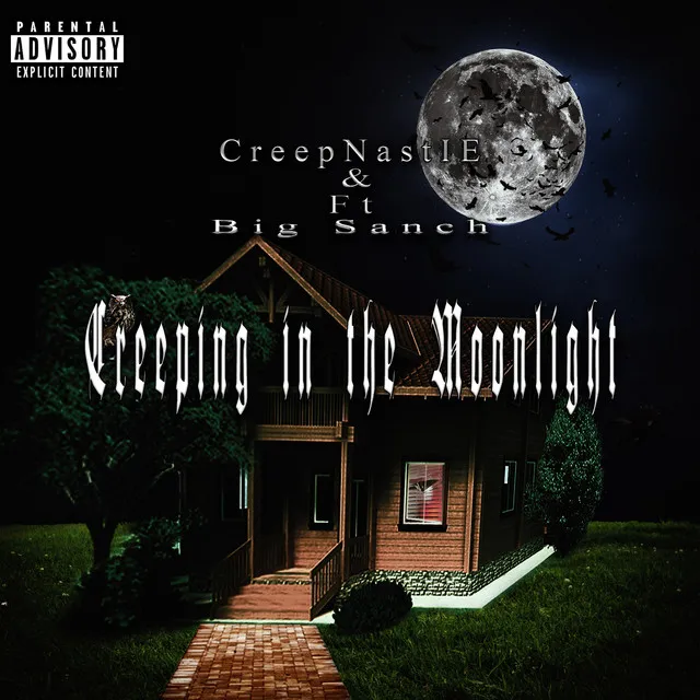 Creeping in the Moonlight