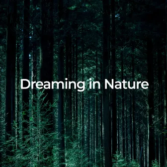 Dreaming in Nature: Relax and Unwind by Natural Rain