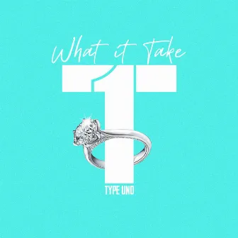 What It Take by Type Uno