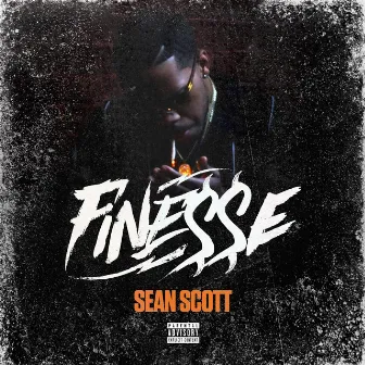 Finesse by Sean Scott