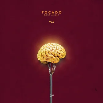 Focado, Vol. 2 by Boss Alírio