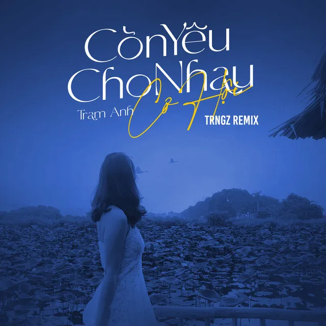 Còn Yêu Cho Nhau Cơ Hội - Trngz Remix