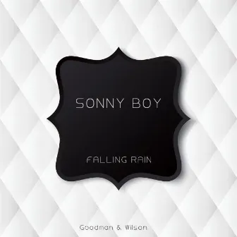 Falling Rain by Sonnyboy