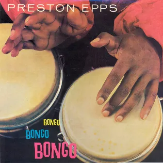 Bongo Bongo Bongo by Preston Epps