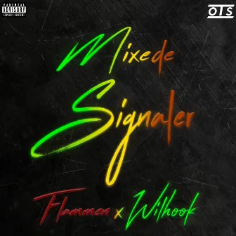 Mixede Signaler by Wilhook