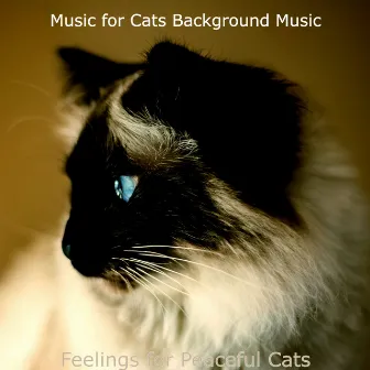 Feelings for Peaceful Cats by Music for Cats Background Music