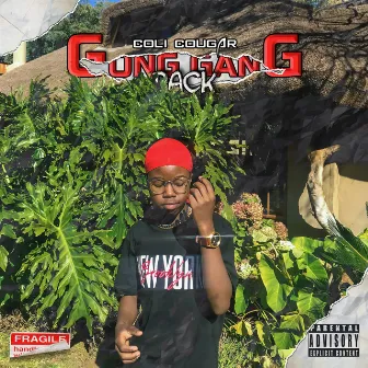 Gong Gang Pack by Coli Cougar