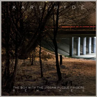 The Boy With The Jigsaw Puzzle Fingers Remixes EP by Karl Hyde