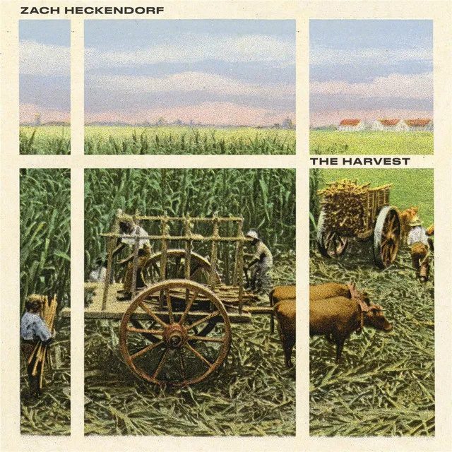 The Harvest