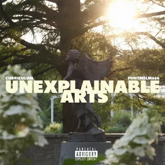 UNEXPLAINABLE ARTS by Curriculum