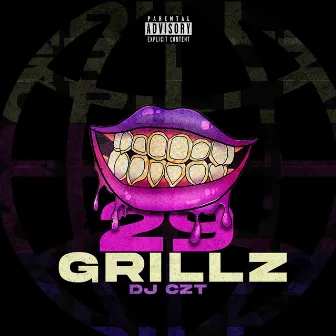 29 Grillz by Hogue