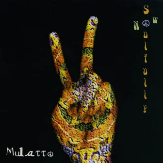 Soulfully Now by Mulatto