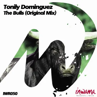 The Bulls by Tonily Dominguez