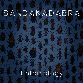 Entomology by Bandakadabra