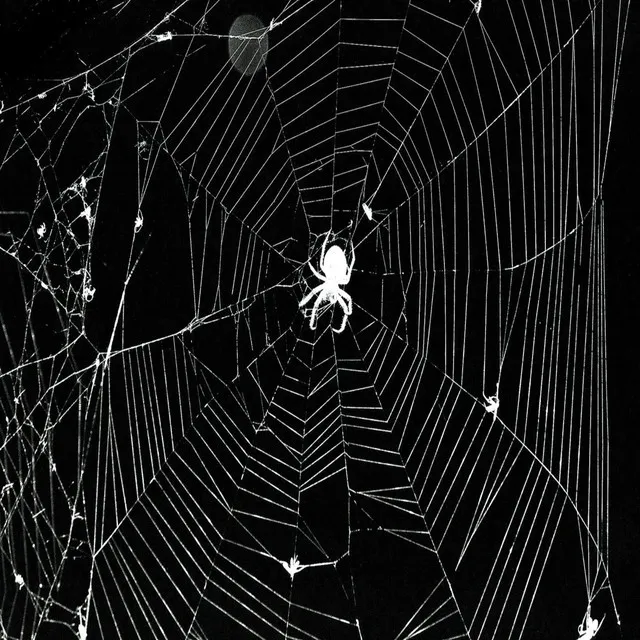 WEB