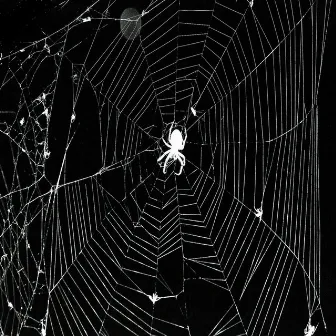 WEB by persecxted