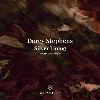 Silver Lining by Darcy Stephens