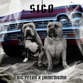 Sigo by Big Pelon