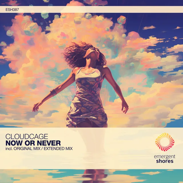 Now or Never - Extended Mix