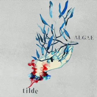 Algae by Tilde