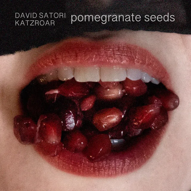 Pomegranate Seeds - David Satori Rework