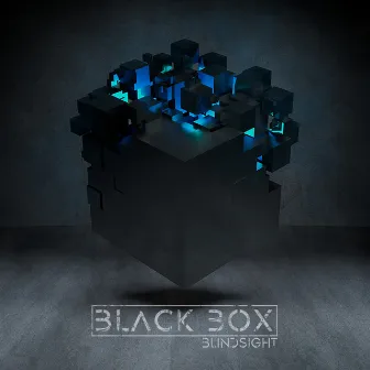 Black Box by Blindsight