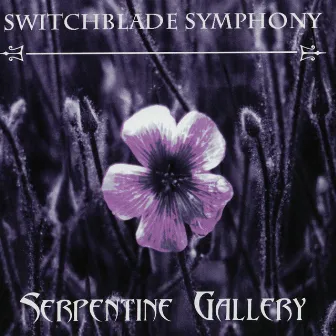 Serpentine Gallery by Switchblade Symphony