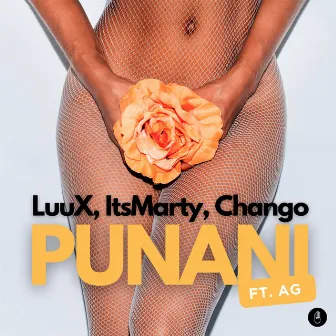 Punani (feat. AG) by Unknown Artist