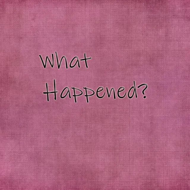 What Happened?