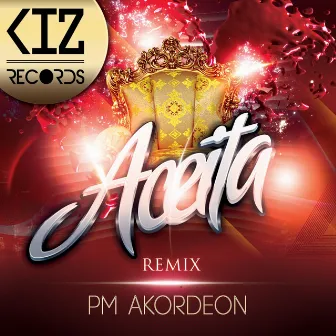 Aceita (Remix) by PM Akordeon