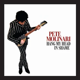 Hang My Head in Shame by Pete Molinari