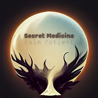 Calm Patient by Secret Medicine