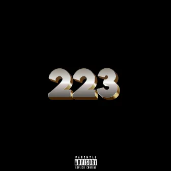 223 by DJ Blessed Original