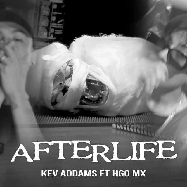 Afterlife