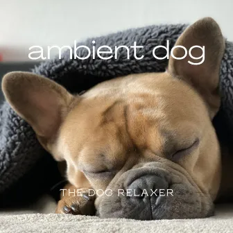 Ambient Dog by The Dog Relaxer