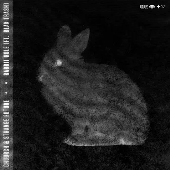 Rabbit Hole (feat. Blak Trash) by Chuurch