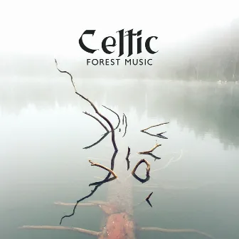 Celtic Forest Music: Calm Ambient Vibes by Forest Hills Music Universe