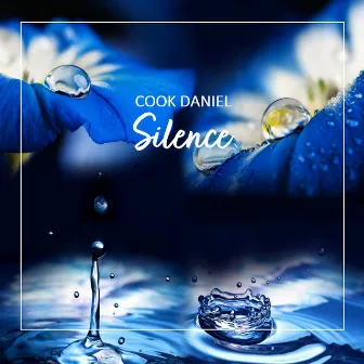 Silence by Cook Daniel