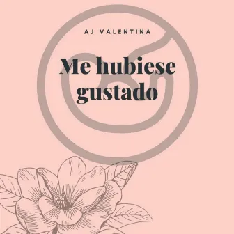 Me Hubiese Gustado by AJ Valentina