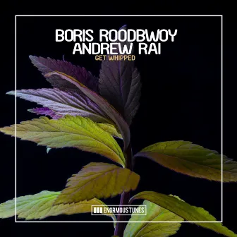 Get Whipped by Boris Roodbwoy