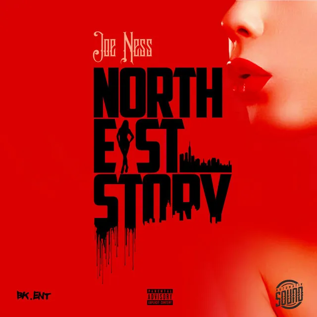 North East Story