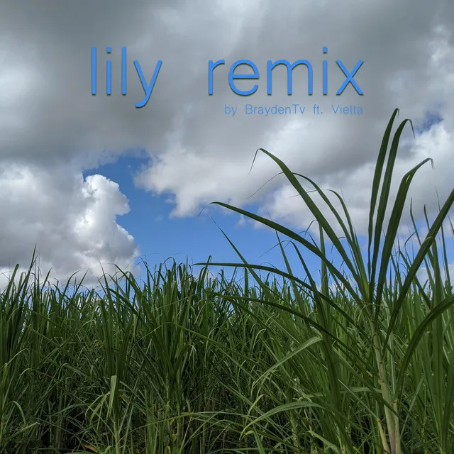 Lily Remix