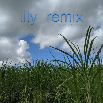 Lily Remix by Decaf