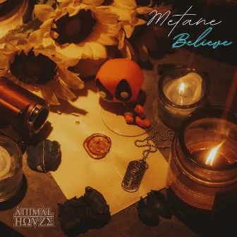 Believe by Metane