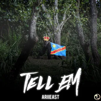 Tell Em by Ariieast